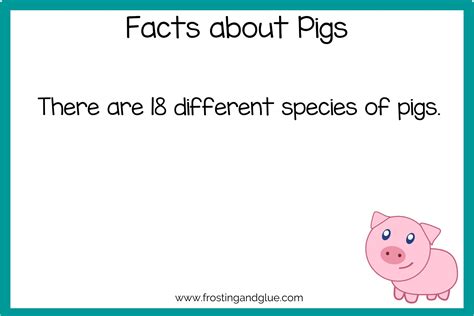 35 Oinktastic Facts About Pigs