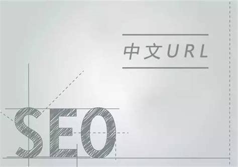 网站URL链接的重要性，中文URL利于网站SEO优化吗? | 搜酷网