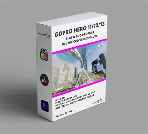 Image result for Simple GoPro