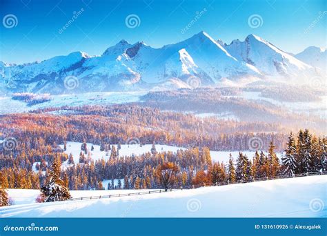 Snowy Mountain Range