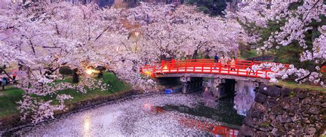 Download wallpaper trees, bridge, nature, lights, reflection, river ...