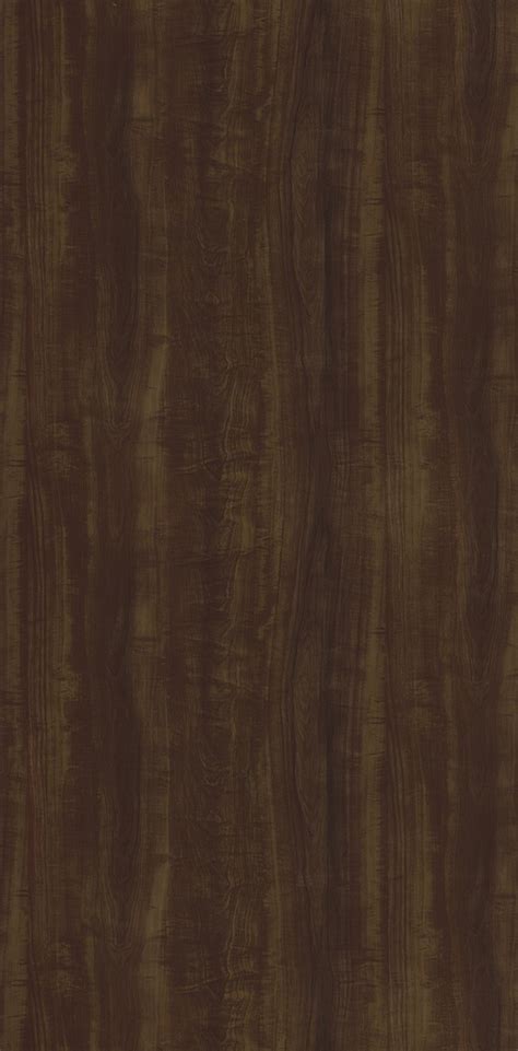 6683 REGAL ASH || Sapphire Woods India LLP