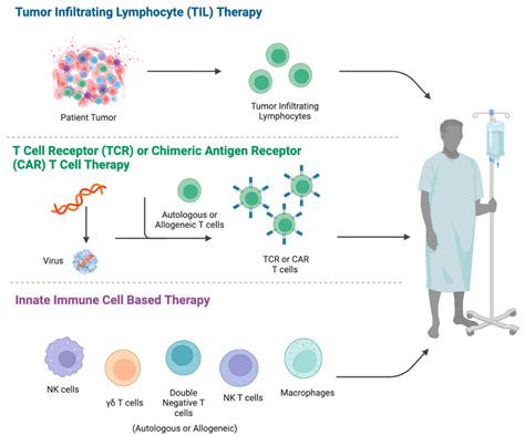 Adoptive Cell Therapy for T-Cell Malignancies