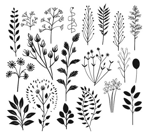 Planten Afbeeldingen - Gratis downloaden op Freepik