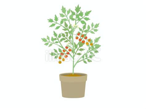 Image result for Software Development Project Management