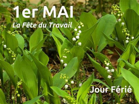 1er mai - Fête du Travail : Date & Jour 2026
