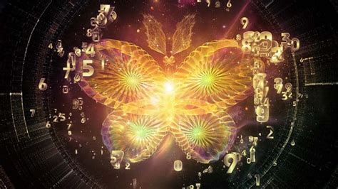 Trading Butterfly Option Spreads | IBKR Webinars