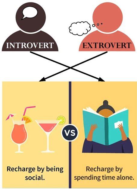 Extroverted Introverted 的图像结果