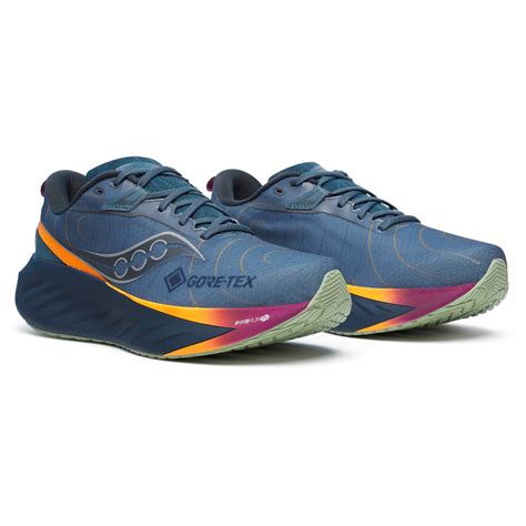 Saucony Triumph 22 GTX - Running shoes Men's | Buy online | Bergfreunde
