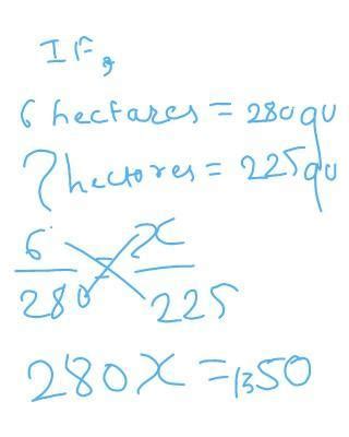 the yield of wheat from 6 hectares land is 280 quintals. find the ...