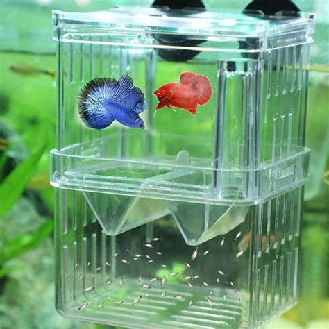 Buy 1xFish Breeding Box Shrimp Hatchery Fish Tank Incubator Tool ...