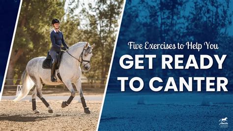 Image result for USDF 1st Level Test 3