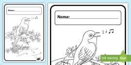 Bird Colouring Book Cover (teacher made) - Twinkl