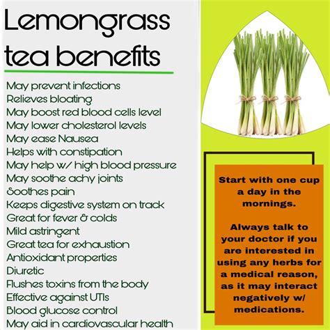 Lemongrass tea benefits | Lemongrass tea, Lemon grass tea benefits, Tea ...