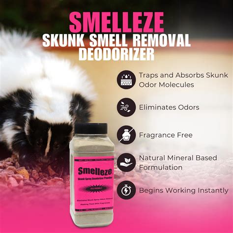 How to Remove Skunk Smell from Air: Effective Solutions