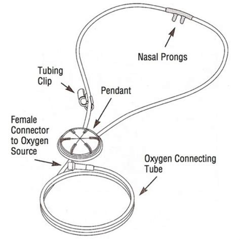Image result for Oxymizer FiO2