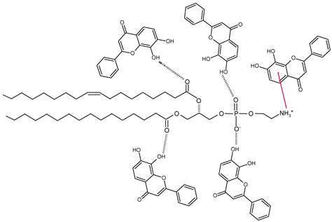 Some Nanocarrier’s Properties and Chemical Interaction Mechanisms with ...