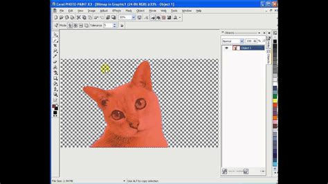 Image result for Remove Background in Corel