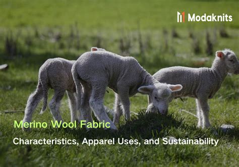 Wool 的图像结果