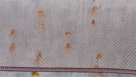 Peach Net Embroidered Bridal Entry Tassel Dupatta – anokherang