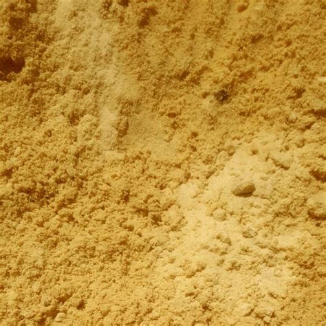 Bulk Fill Dirt Florida | Price & Specs – Yard Stop Inc