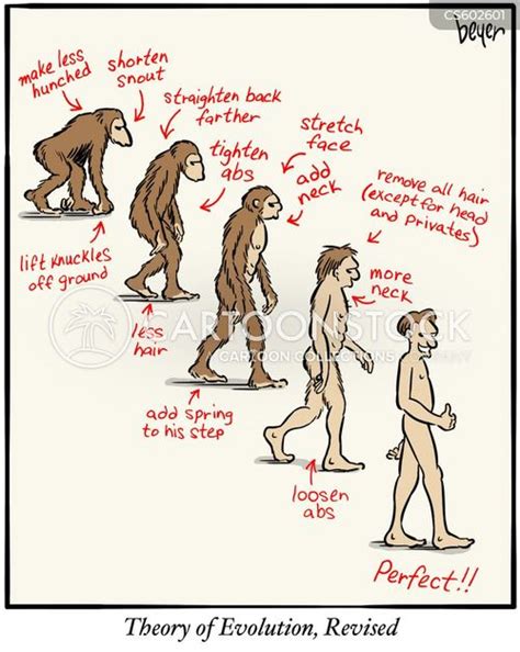 Image result for Human Evolution Cartoon
