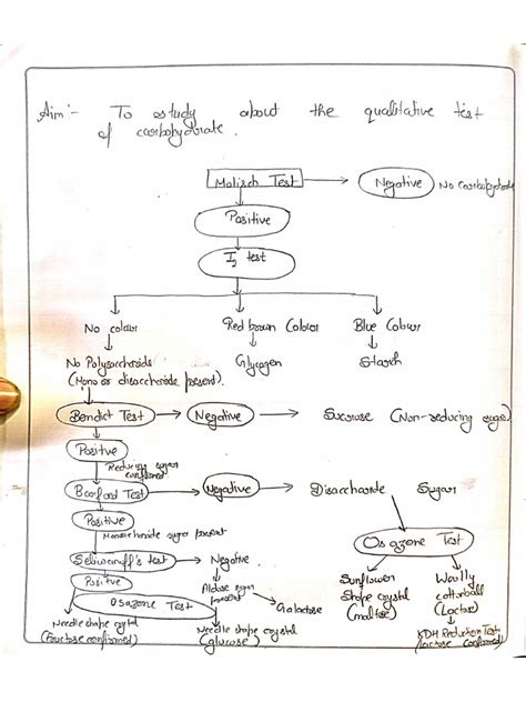 Biochemistry Lab Experiments 的图像结果