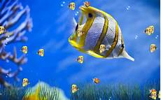 Free Animated Wallpaper Downloads by Wallpapers Shop Animated Wallpapers Animated Free Animated Wallpaper Downloads