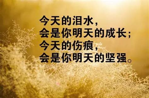 回忆往事的优美句子难忘回忆的经典句子2022已更新今日资讯