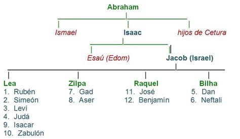 Image result for How to Draw Problem Tree