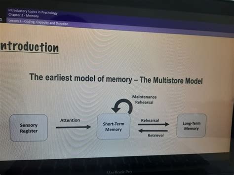 Image result for Coding Capacity and Duration of Memory
