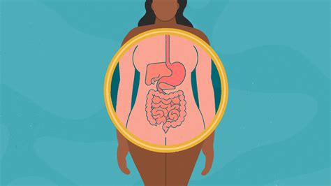 Digestive System Diseases 的图像结果