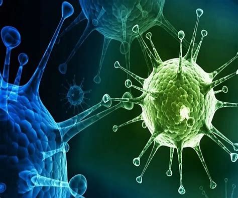 C.1.2 variant of COVID-19 found in 7 countries; know how infectious it ...