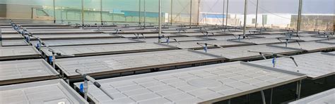 Agriplast Ebb & Flow System - Efficient Hydroponic Irrigation for High ...