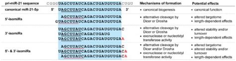An Emerging Role for isomiRs and the microRNA Epitranscriptome in ...