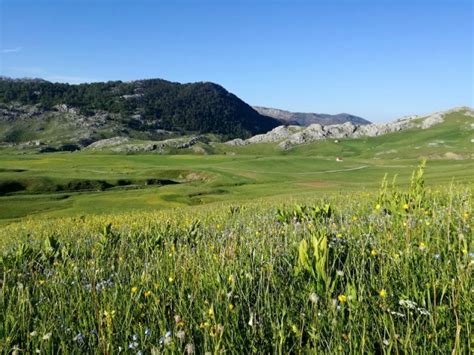 Moračke planine i kanjon Mrtvice: Lepota netaknute prirode - B92