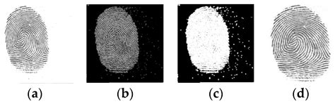 LFLDNet: Lightweight Fingerprint Liveness Detection Based on ResNet and ...