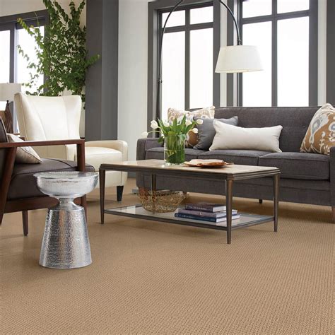 Carpet Inspiration | Madison, WI | CarpetsPlus Of Wisconsin