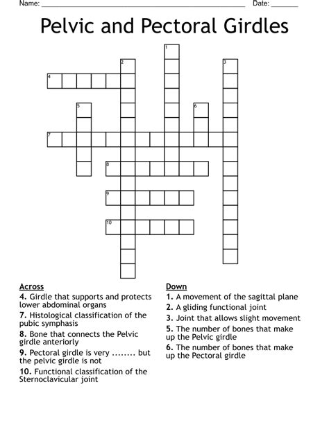 Pelvic and Pectoral Girdles Crossword - WordMint