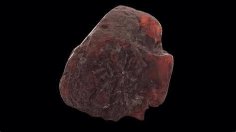 Doorstop Rock Confirmed As 70 Million-Year-Old Amber Worth $1.1 Million