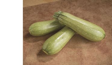 Calabaza Italiana en Southern Valley de Yucatan de México - ppfam.com