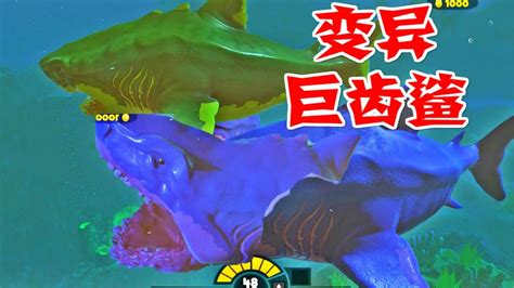 远古十大巨鲨 枝齿鲨上榜,第一咬合力超强_排行榜123网
