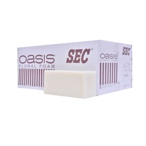 Oasis Pack of 20 Premium Floral Foam Bricks | Green Florist Foam Blocks ...