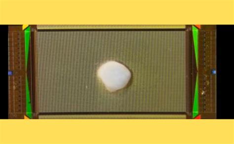 Image result for Brain-Computer Principle