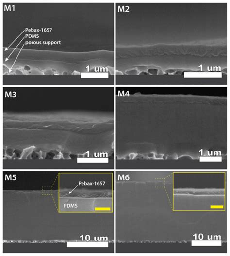 Thickness Effect on CO2/N2 Separation in Double Layer Pebax-1657®/PDMS ...