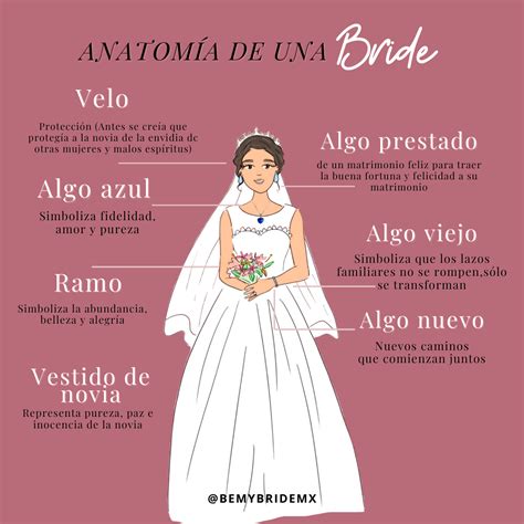Anatomía de una bride. | Wedding tips, Wedding, Future wedding