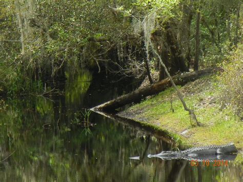 Gallery | Hardee County Property Appraiser