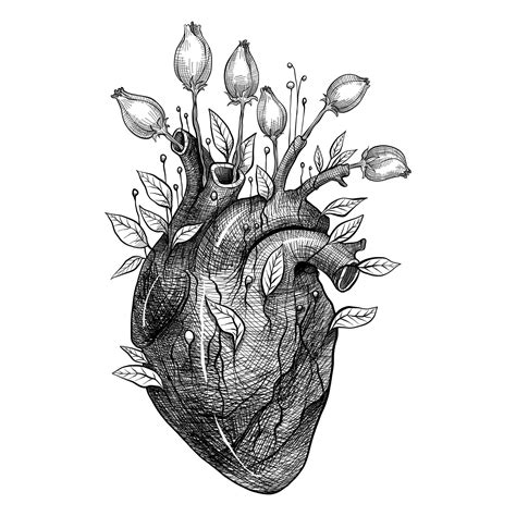 Anatomically Correct Heart Art