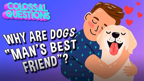 Colossal Questions Dogs 的图像结果