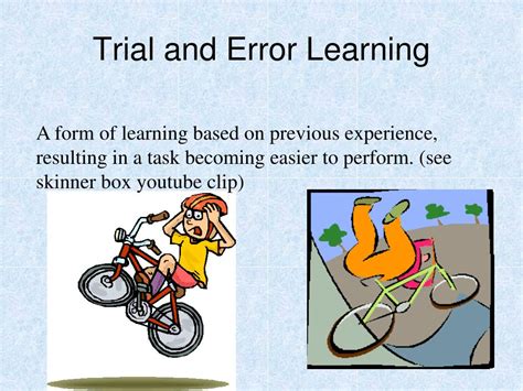 Image result for Animal Behaviour